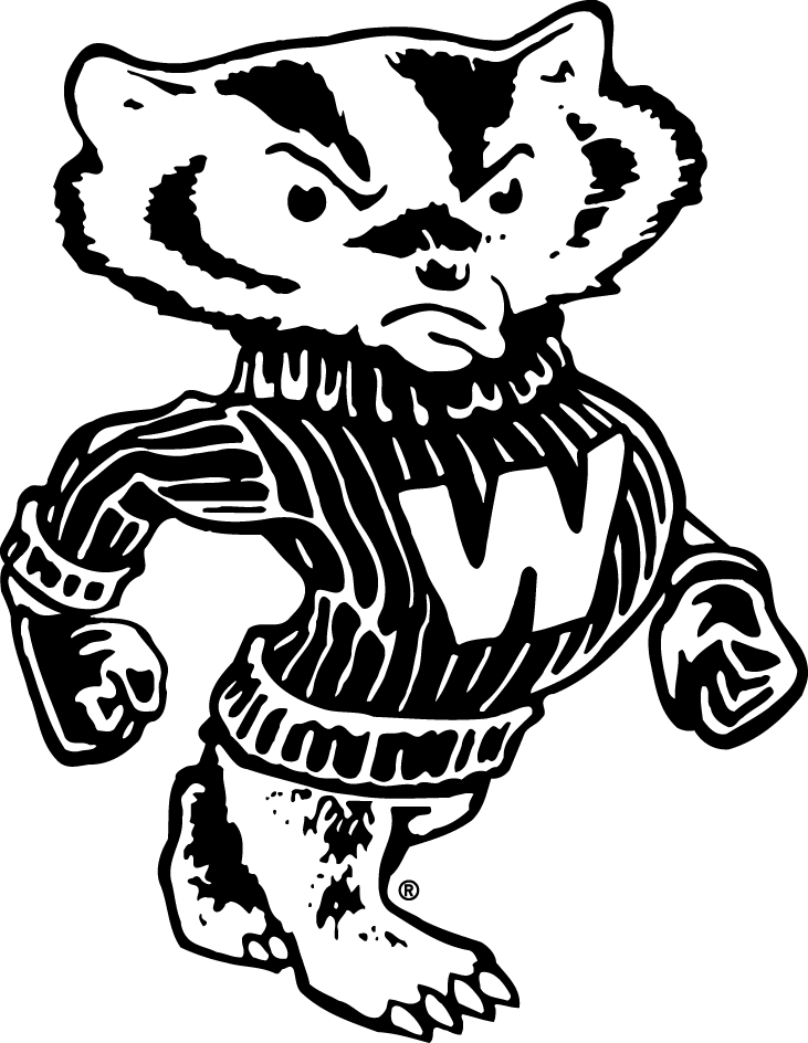 Wisconsin Badgers 1948-1969 Secondary Logo v2 DIY iron on transfer (heat transfer)